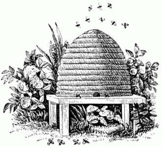 The Hive Allegory